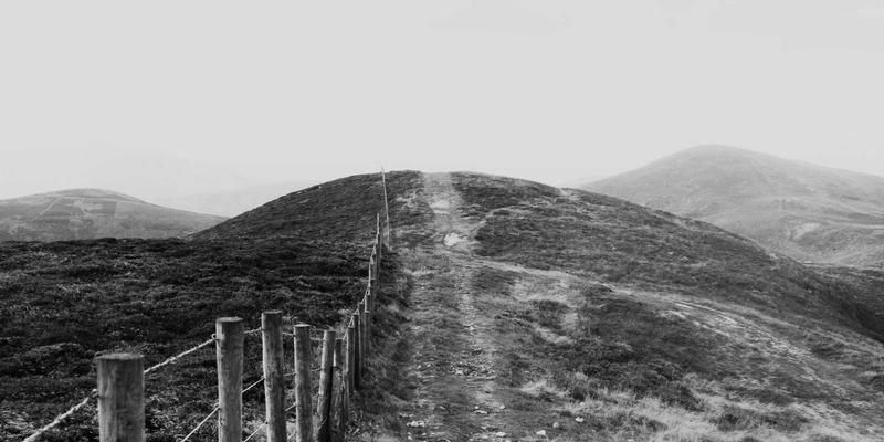 从独行到共游：旅游社交如何重塑现代旅行体验