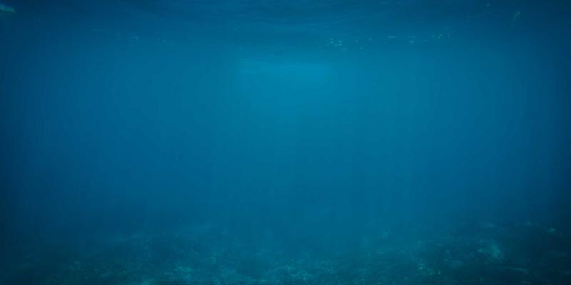 从线上到线下：可持续旅行倡导者如何通过社交平台组建环保旅行小队