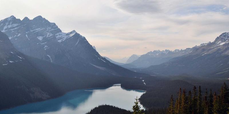 单身旅行社交安全守则：在旅游社区寻找结伴旅行伙伴的注意事项与避险策略