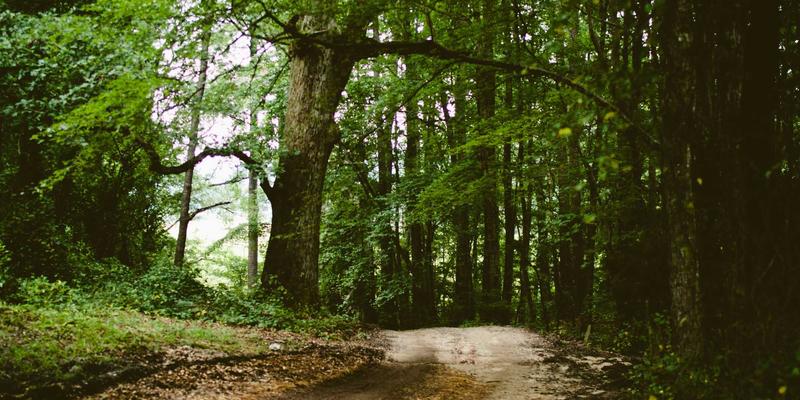 如何通过摄影约拍与工作坊E结游，找到理想的视觉叙事旅伴