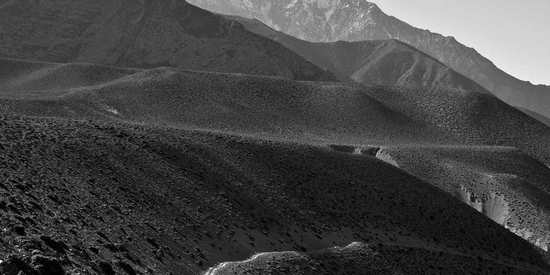 宠物友好型旅行社交指南：如何在旅游社区寻找旅伴与分享独特体验