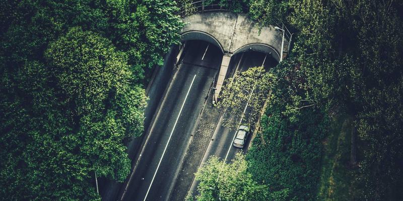 家庭出游后如何精彩分享与永久保存：从旅行分享到结伴旅行的记忆传承