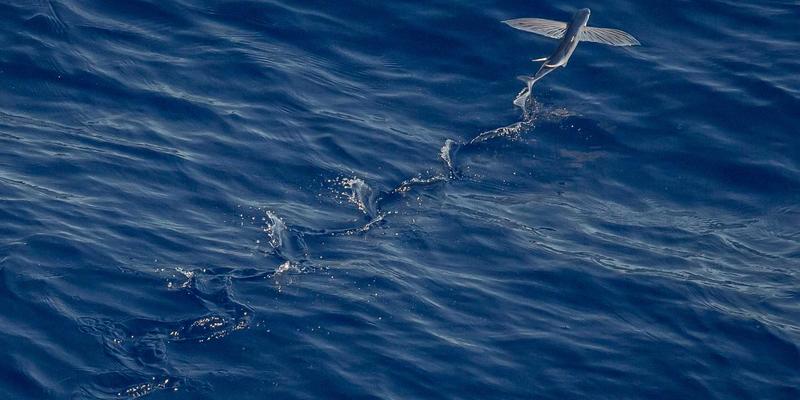 找旅伴新方式：旅游社交如何重塑家庭亲子旅行体验