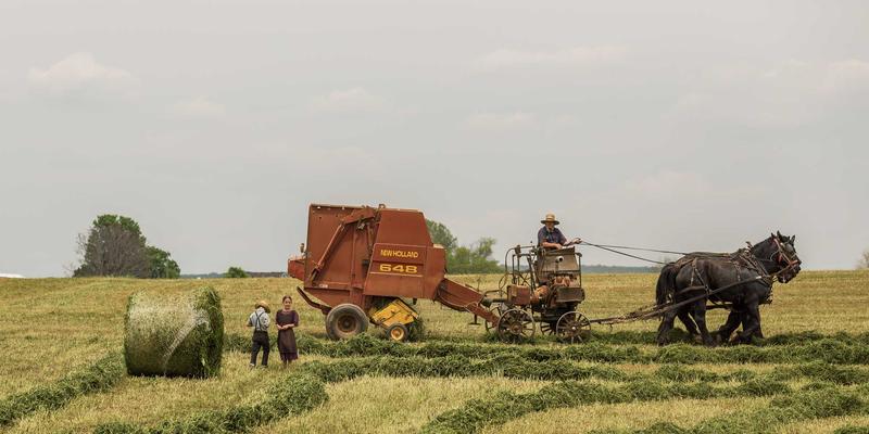 旅游社交3.0时代:从旅行分享到E结游,旅游社区如何重塑我们的探索方式