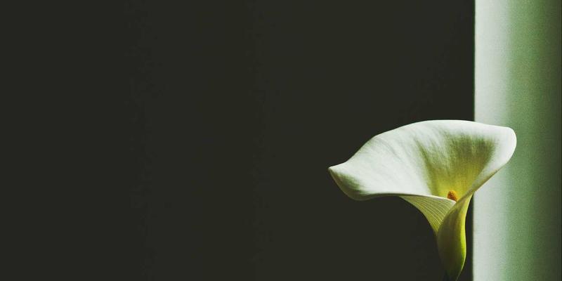 旅游社交81：当旅行分享遇见E结游，重新定义数字时代的旅行方式