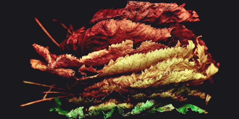 旅游社交84：在结伴旅行中重新定义旅行体验，如何安全高效找到理想旅伴