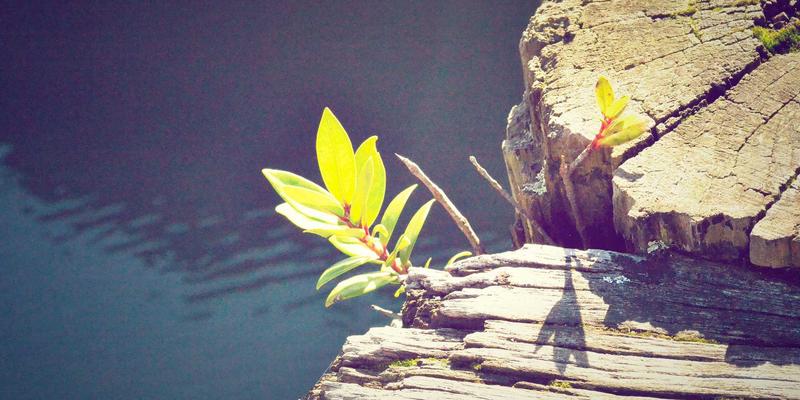 旅游社交：从找旅伴到构建旅游社区，如何让旅行更有温度