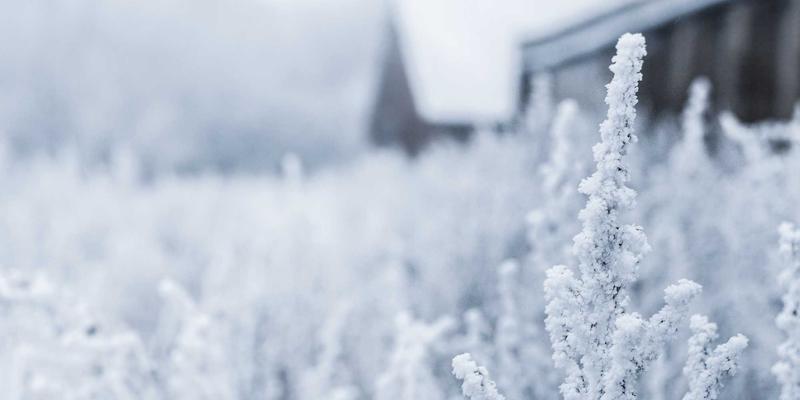 旅游社交新浪潮：从“E结游”到旅行组队，如何重塑现代旅行方式