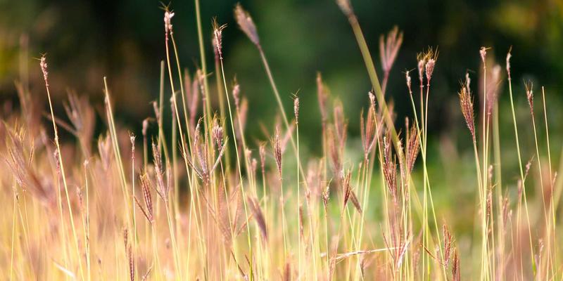 旅游社交新趋势：如何通过平台为孩子寻找游学伙伴、交换住宿与共享育儿经验