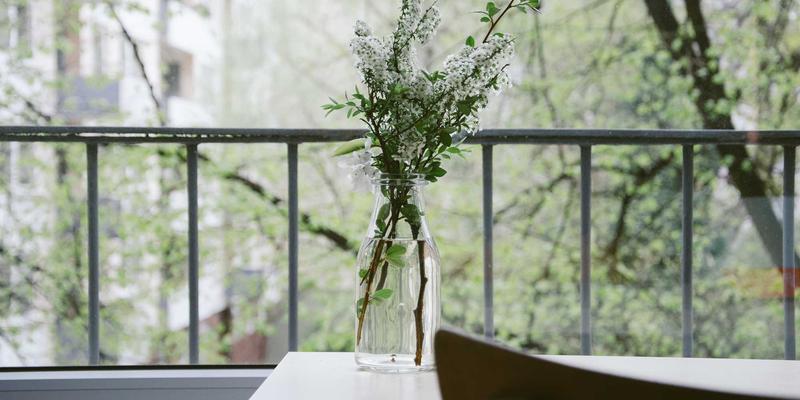 旅行组队新思路：如何通过高校校友网络找到志同道合的旅伴