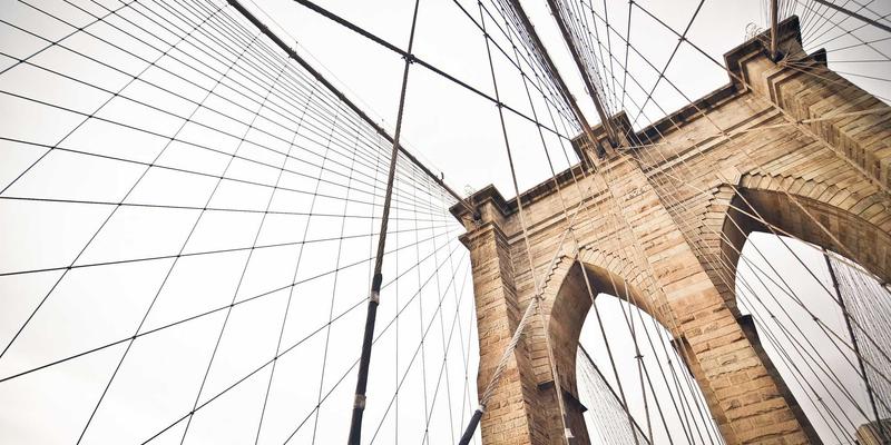 结伴旅行新趋势：如何在徒步、观鸟、潜水等垂直领域寻找专业旅伴