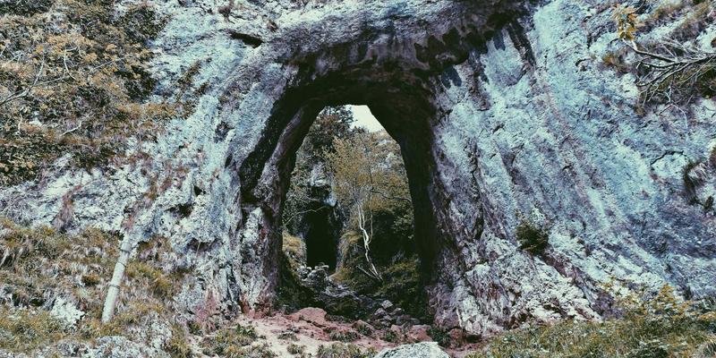 结伴旅行新趋势：如何在旅游社区寻找语伴，实现沉浸式语言学习之旅