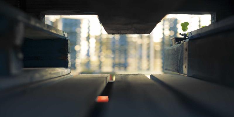 语言不通也能畅游世界：三大类社交工具助你轻松旅行组队找旅伴